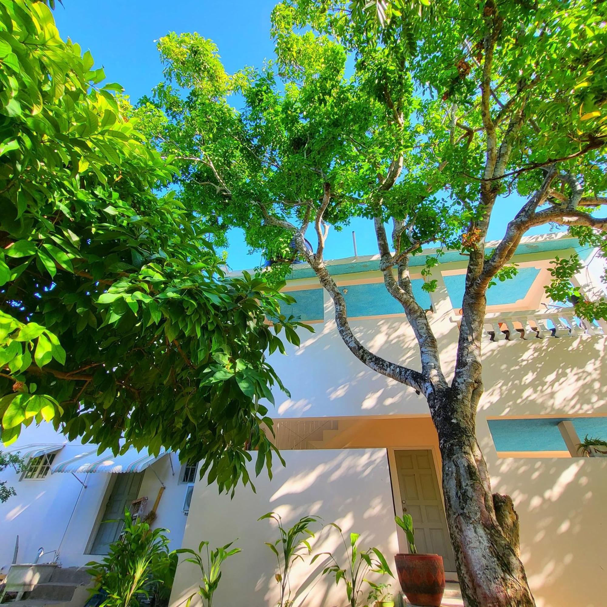 Green'S Palace Jamaica Oracabessa المظهر الخارجي الصورة