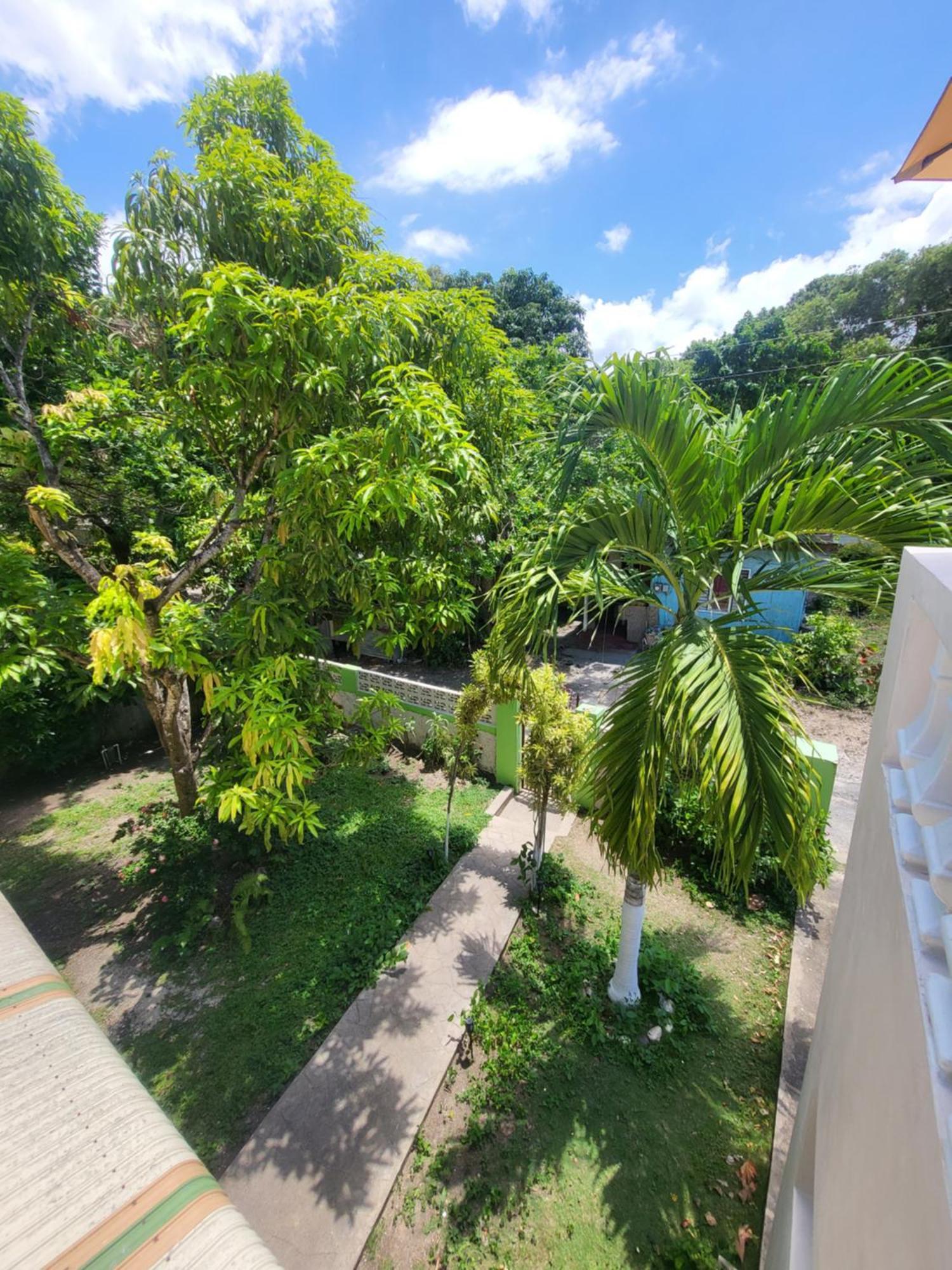 Green'S Palace Jamaica Oracabessa المظهر الخارجي الصورة