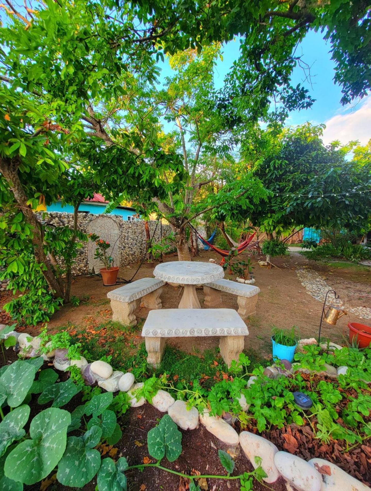 Green'S Palace Jamaica Oracabessa المظهر الخارجي الصورة