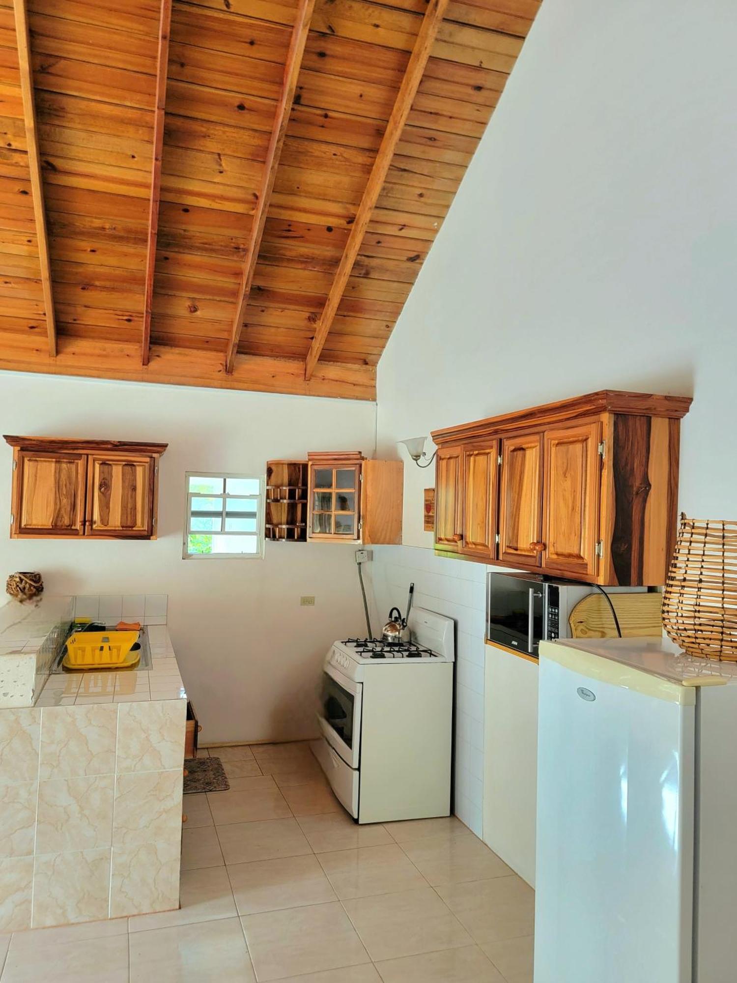 Green'S Palace Jamaica Oracabessa المظهر الخارجي الصورة